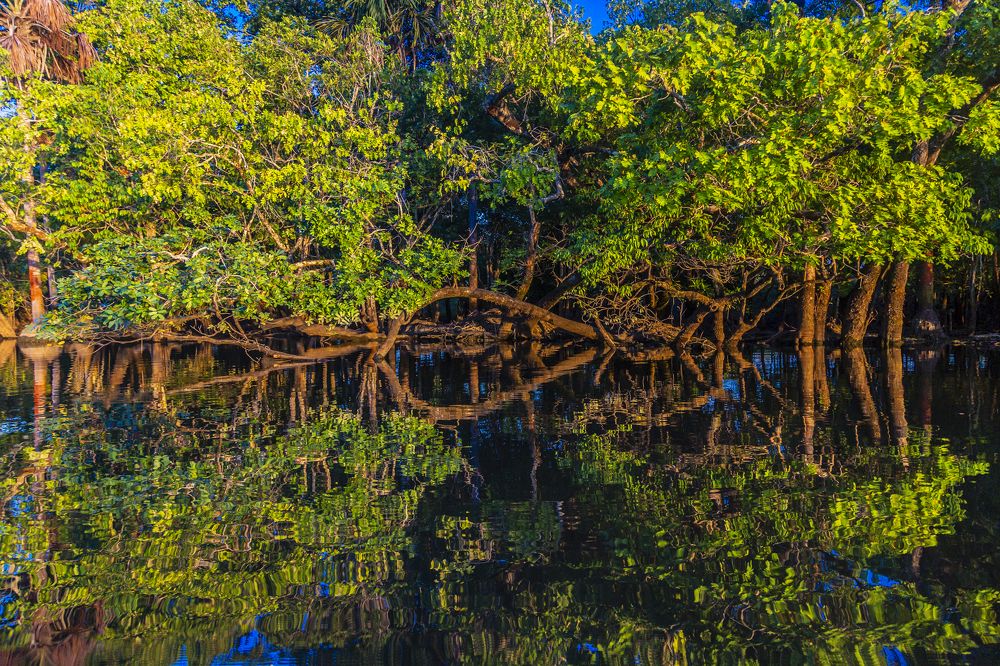 Photograph by Jorge Ivan Vasquez