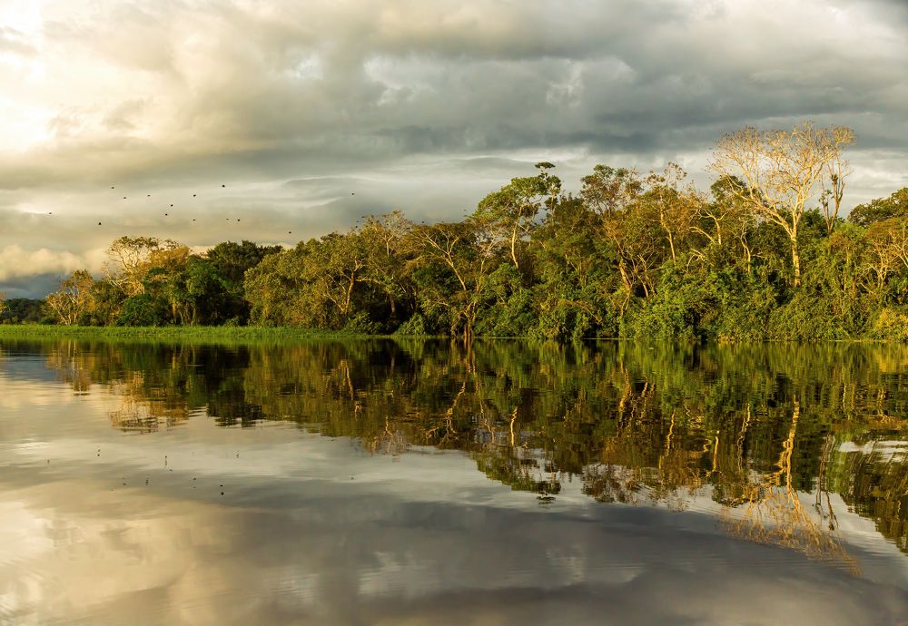 Photograph by Jorge Ivan Vasquez