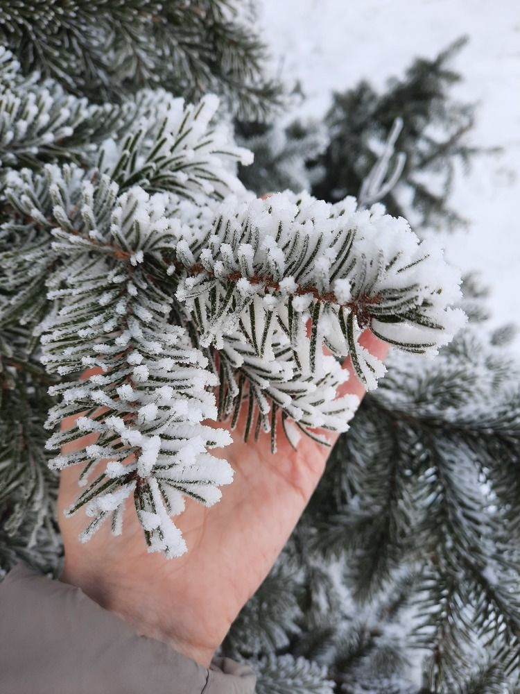 Photograph by Юлия Лебедева