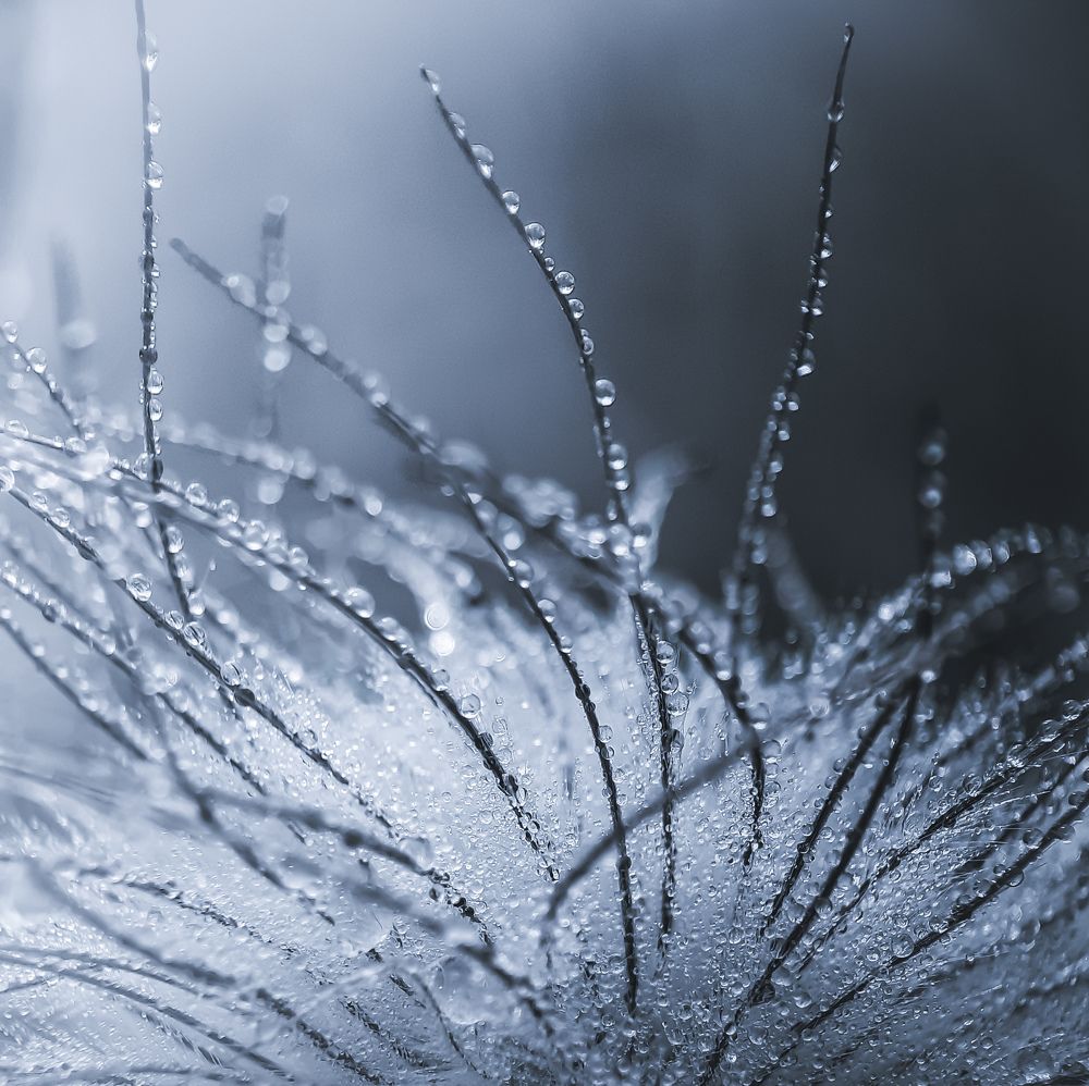 Photograph by Юлия Быкова