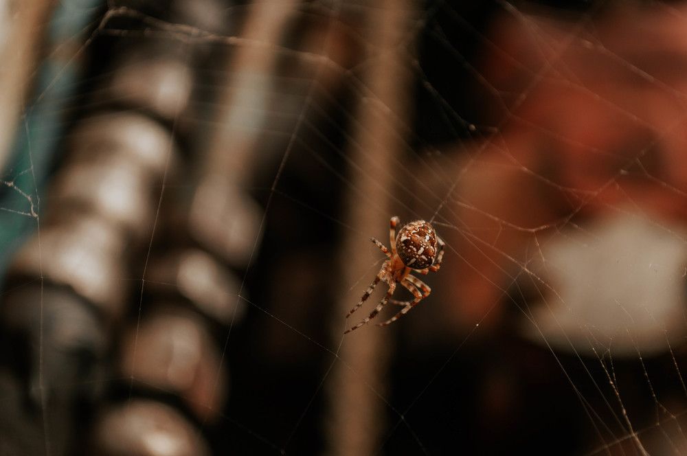 Photograph by annyshkaa2015