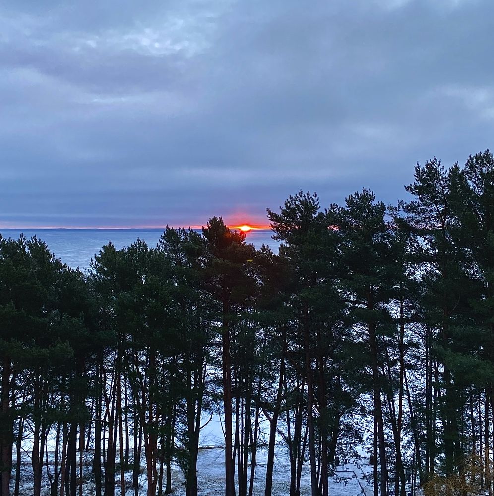 Photograph by Светлана