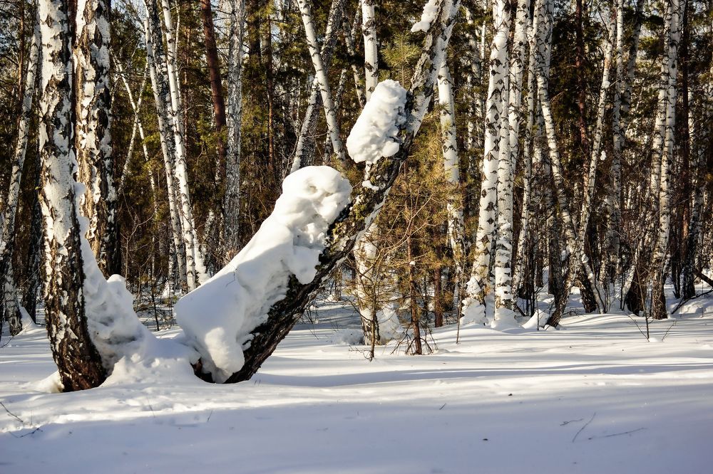Солнечное творение