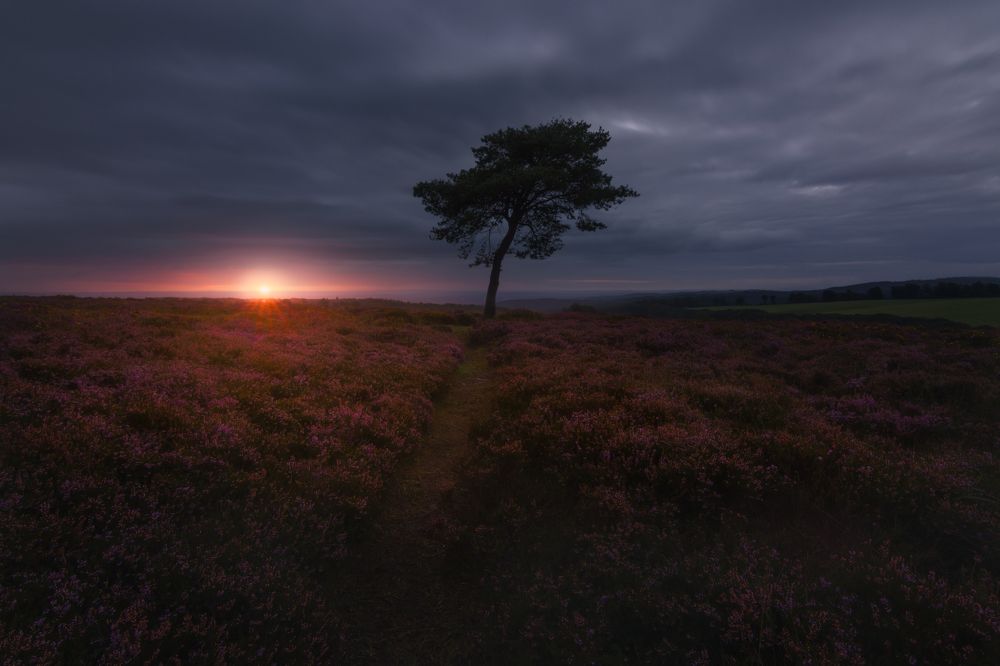 Glimpse Of The Morning Light