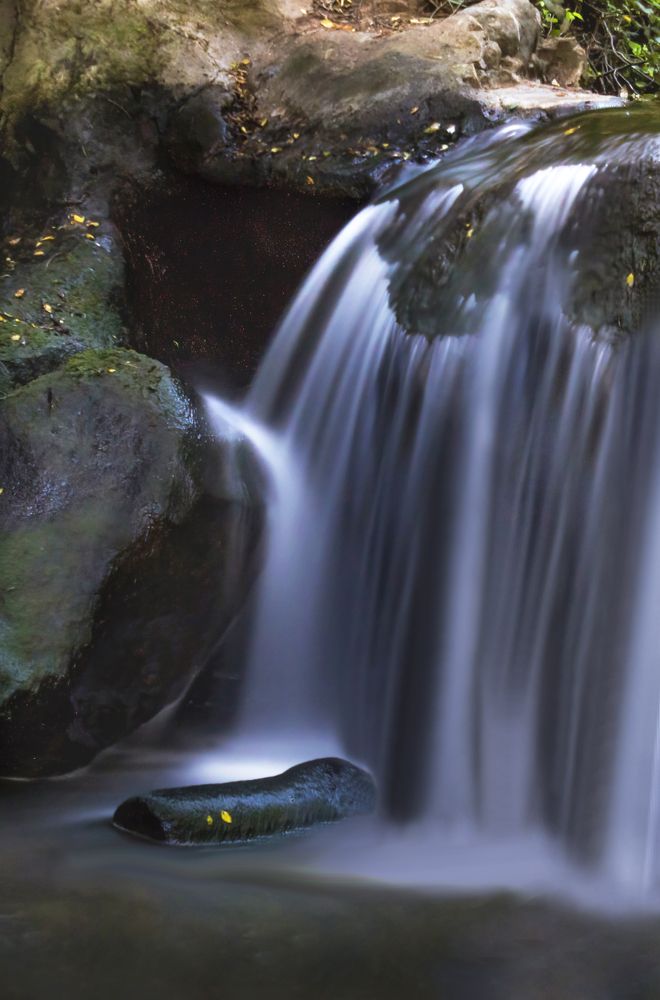 Photograph by Geraldine Michell