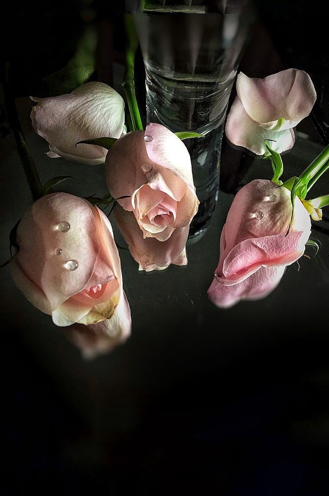 Photograph by Наталя Мартинчик