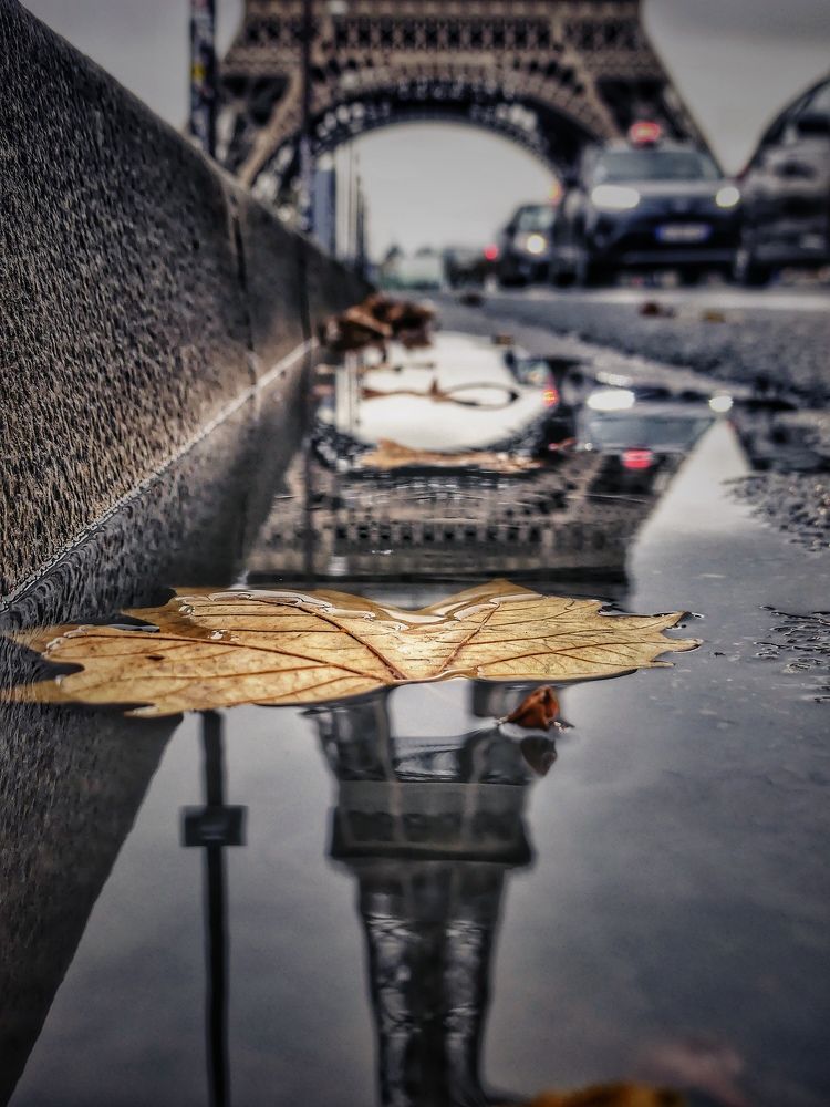 Photograph by DAN CIUPUREANU