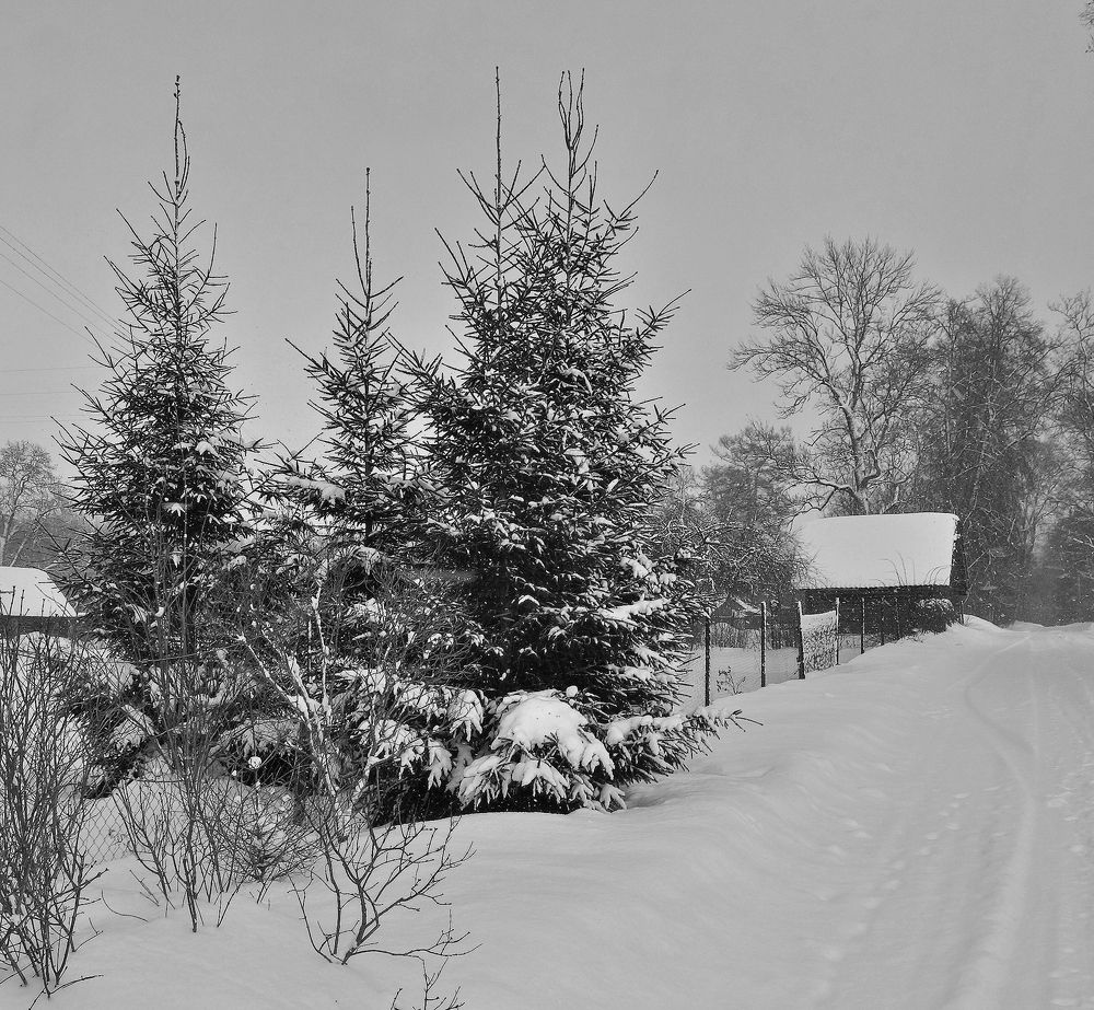 Русская зима....