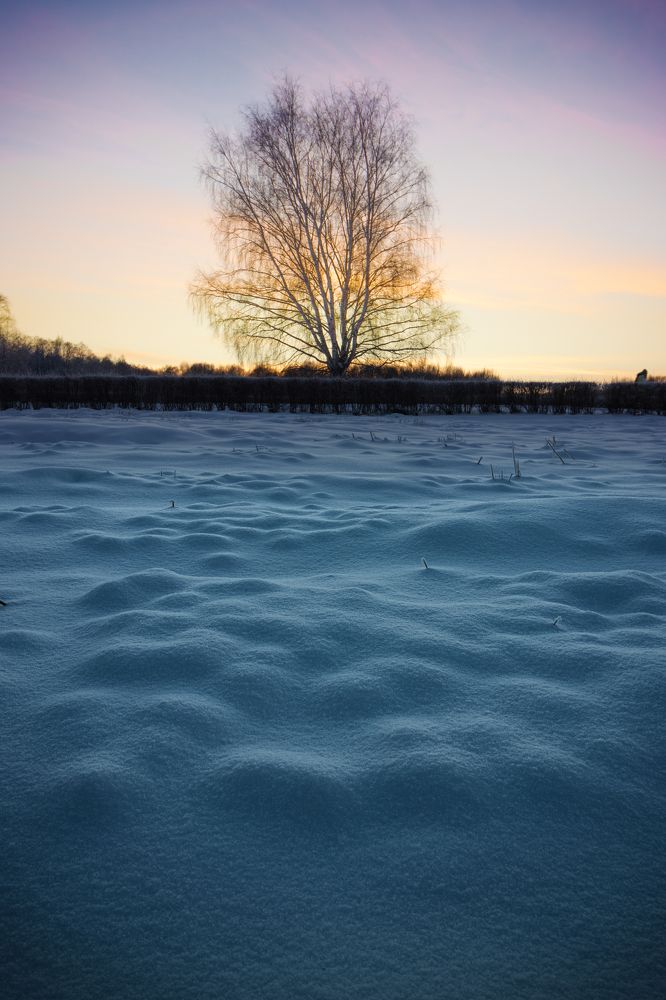 Фотография автора Котов Андрей