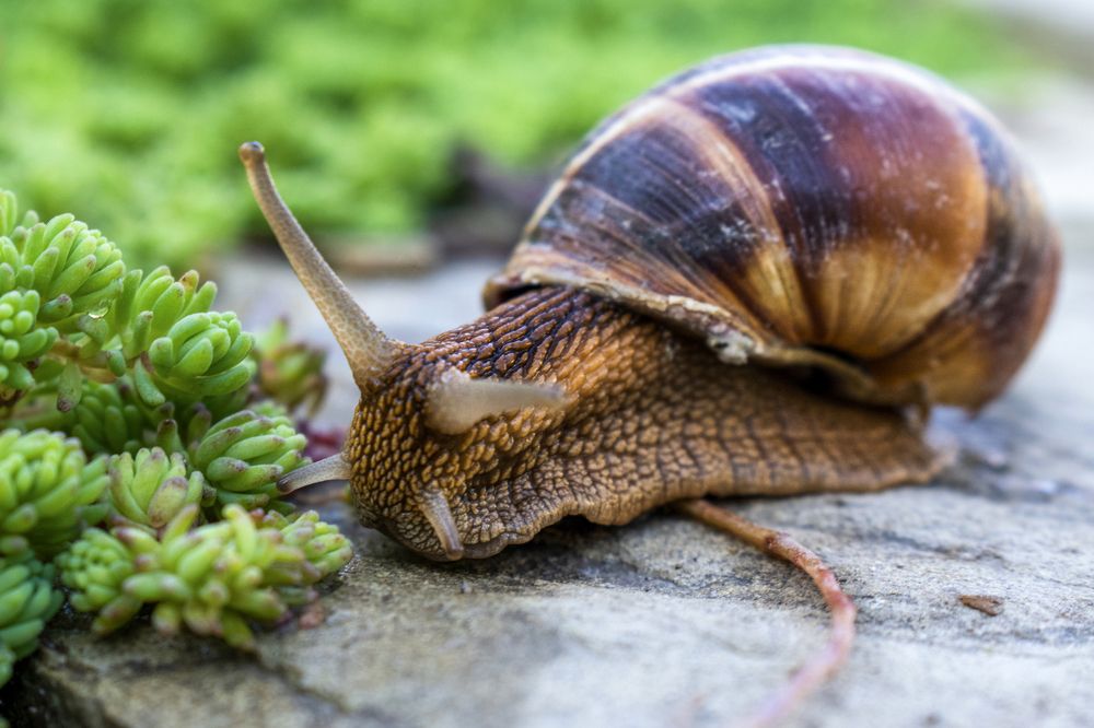 Photograph by Иван Лебедев