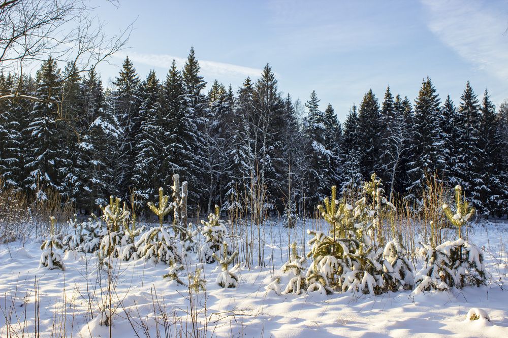 Photograph by  Vladimir