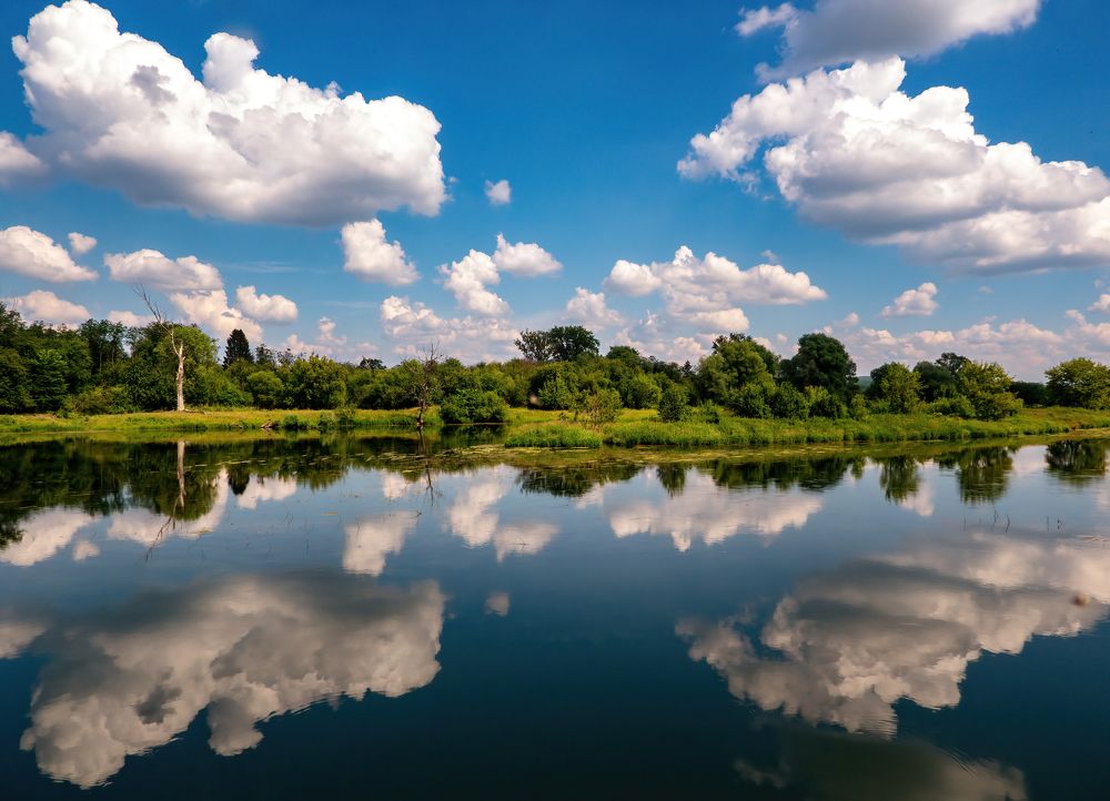 Фотография автора Котов Андрей