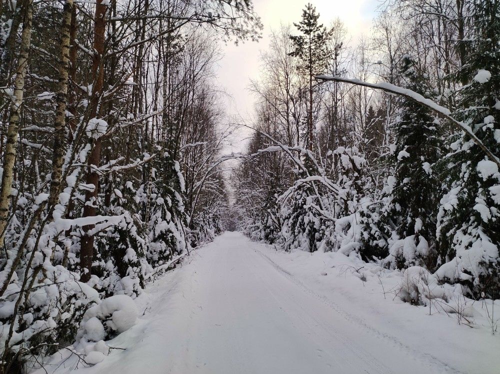 Photograph by Екатерина Иваненко