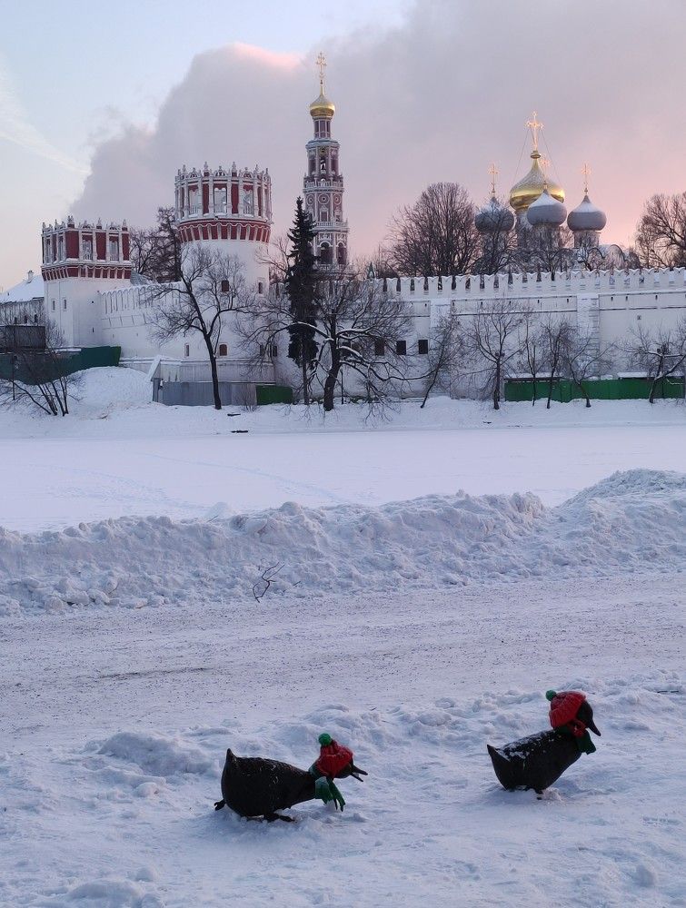 Photograph by Екатерина Иваненко