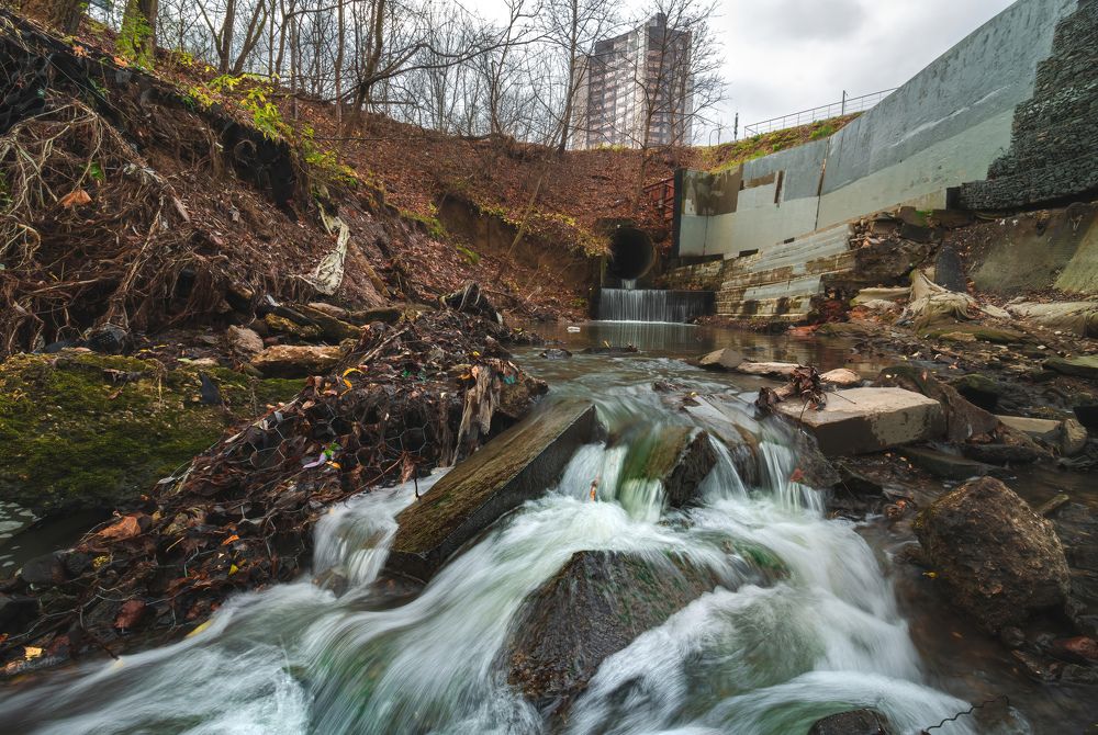 Фотография автора Котов Андрей