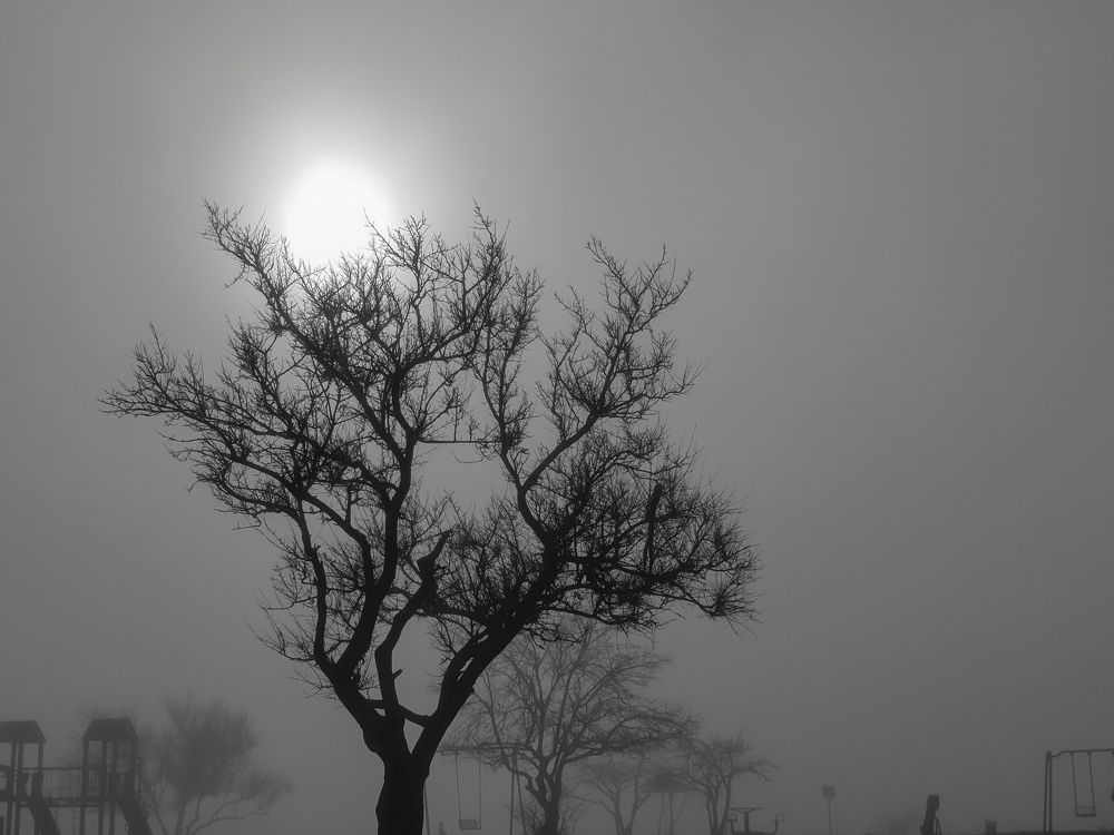 Photograph by Лариса Когтева