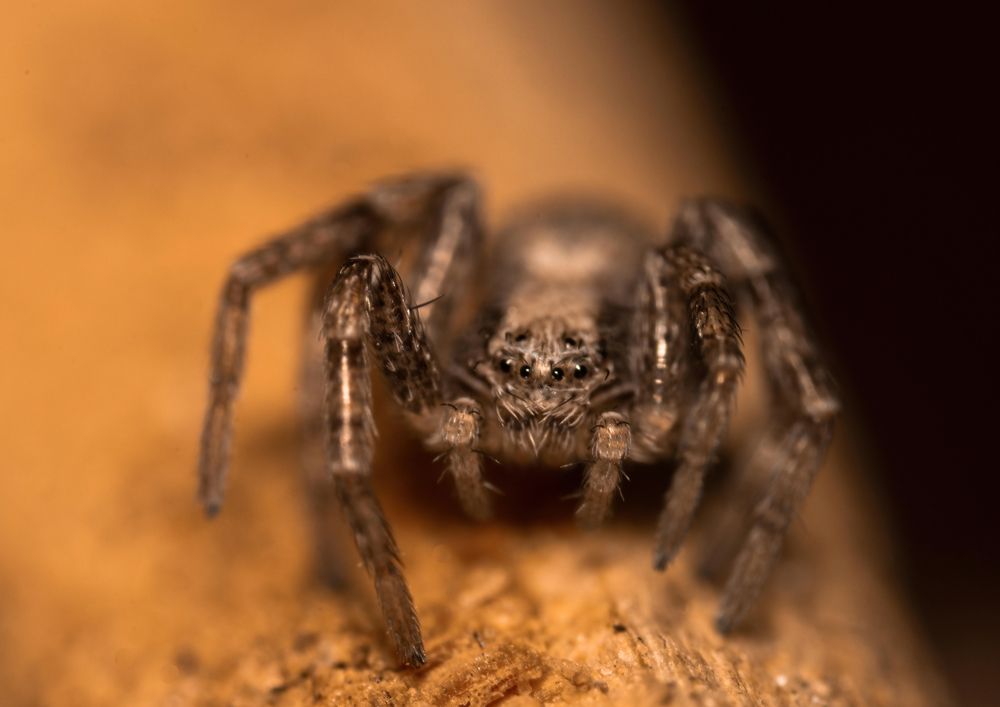 Фотография автора Котов Андрей