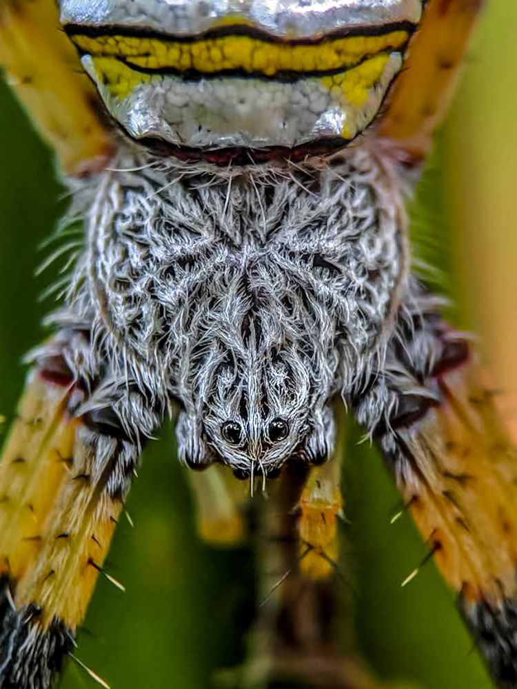 Photograph by sandhya kudli