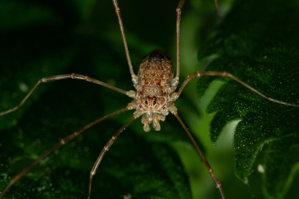 Фотография автора Котов Андрей