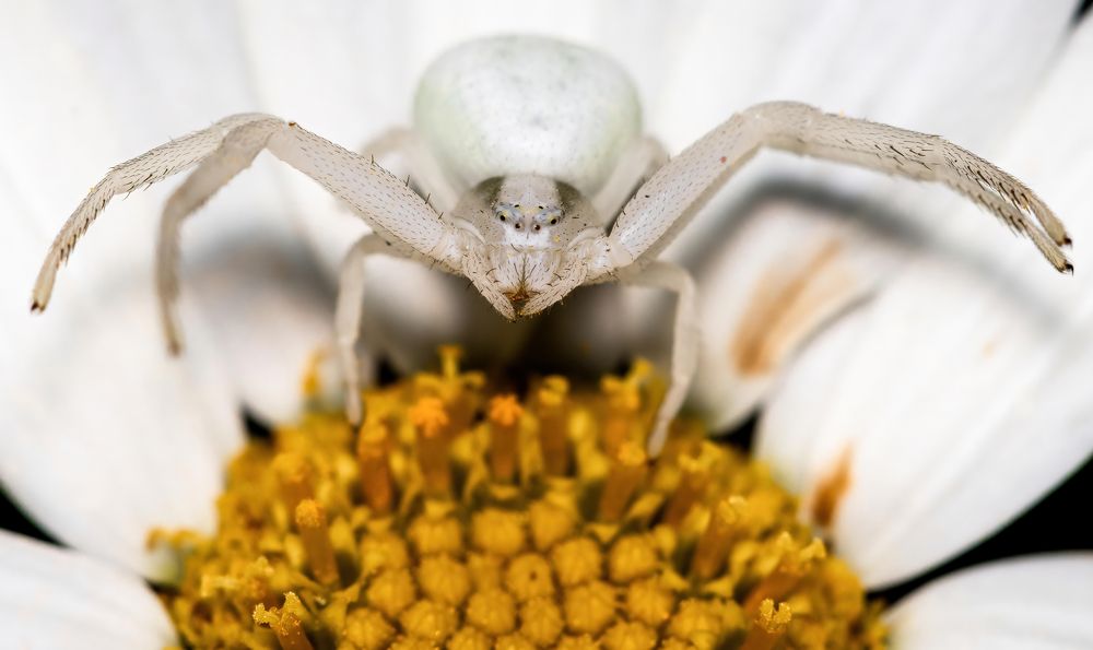 Фотография автора Котов Андрей