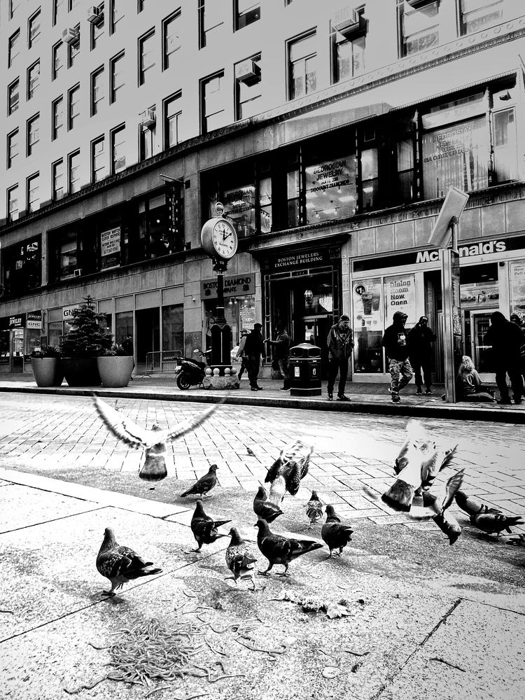 Photograph by Stephanie E’amato