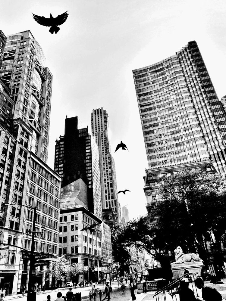 Photograph by Stephanie E’amato