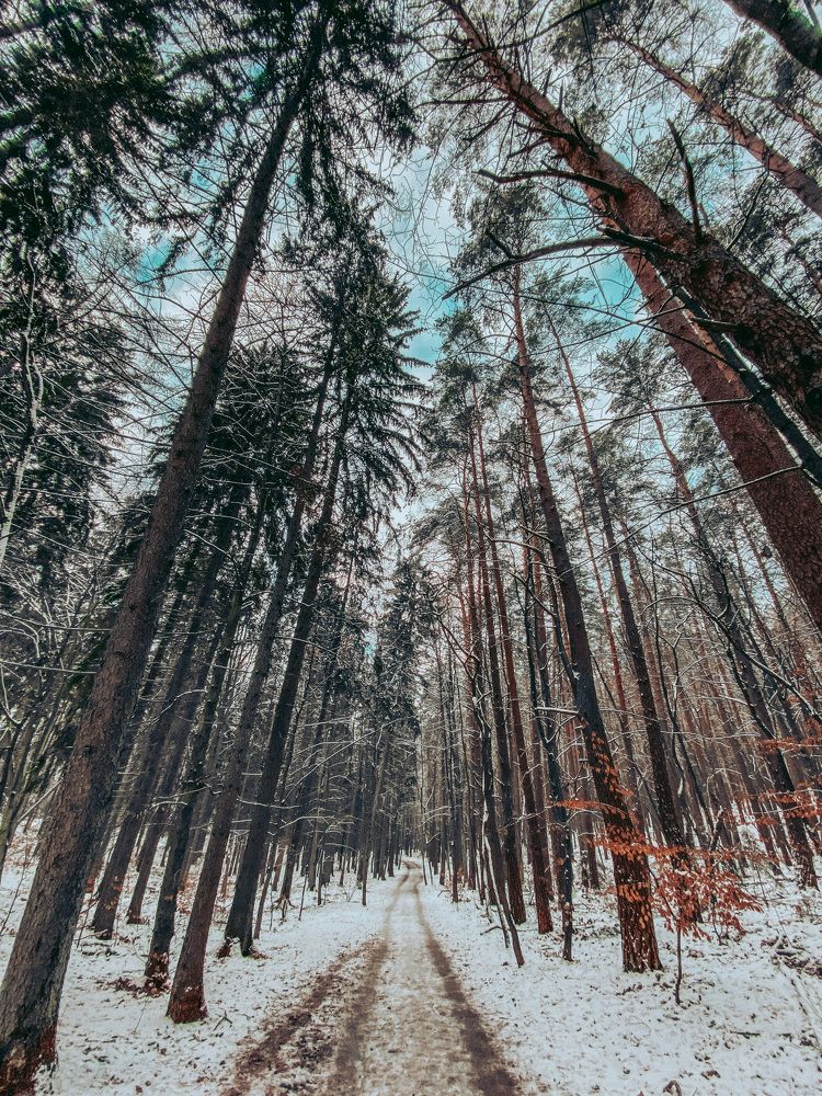 Photograph by Olga Rogala