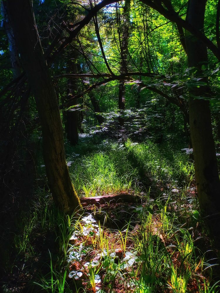 Photograph by Татьяна Григорьева