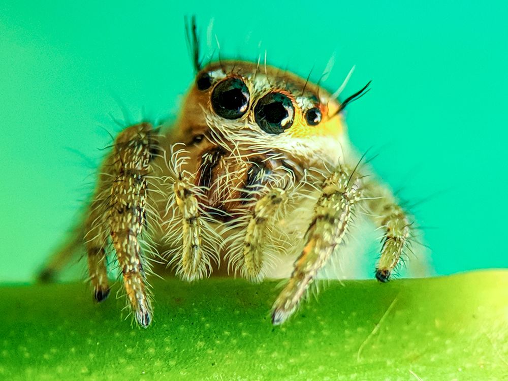 Photograph by sandhya kudli