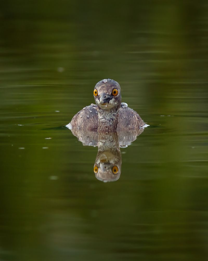 Photograph by Valdir Hobus