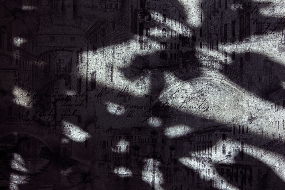 Photograph by Элина Данелия