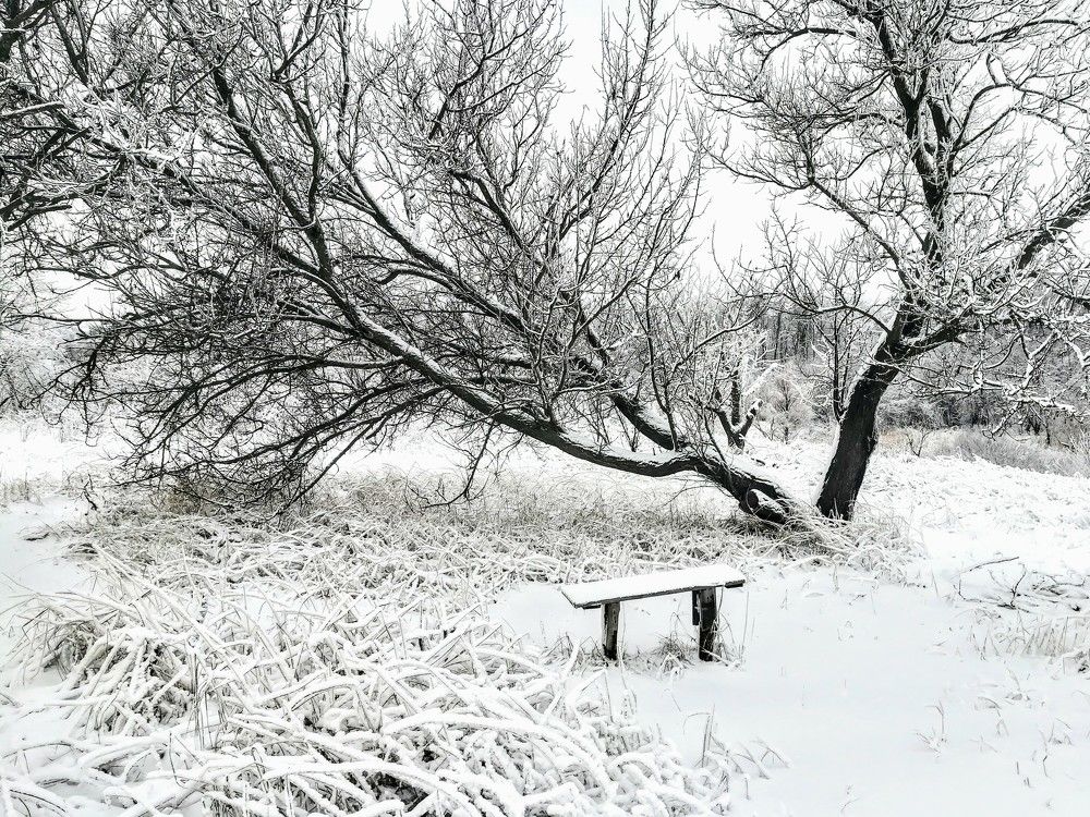 Фотография автора Olena Dyliurman