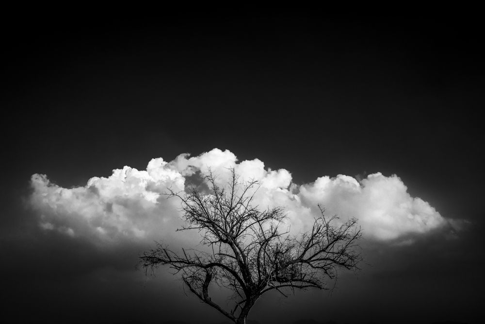 Photograph by Babar Swaleheen