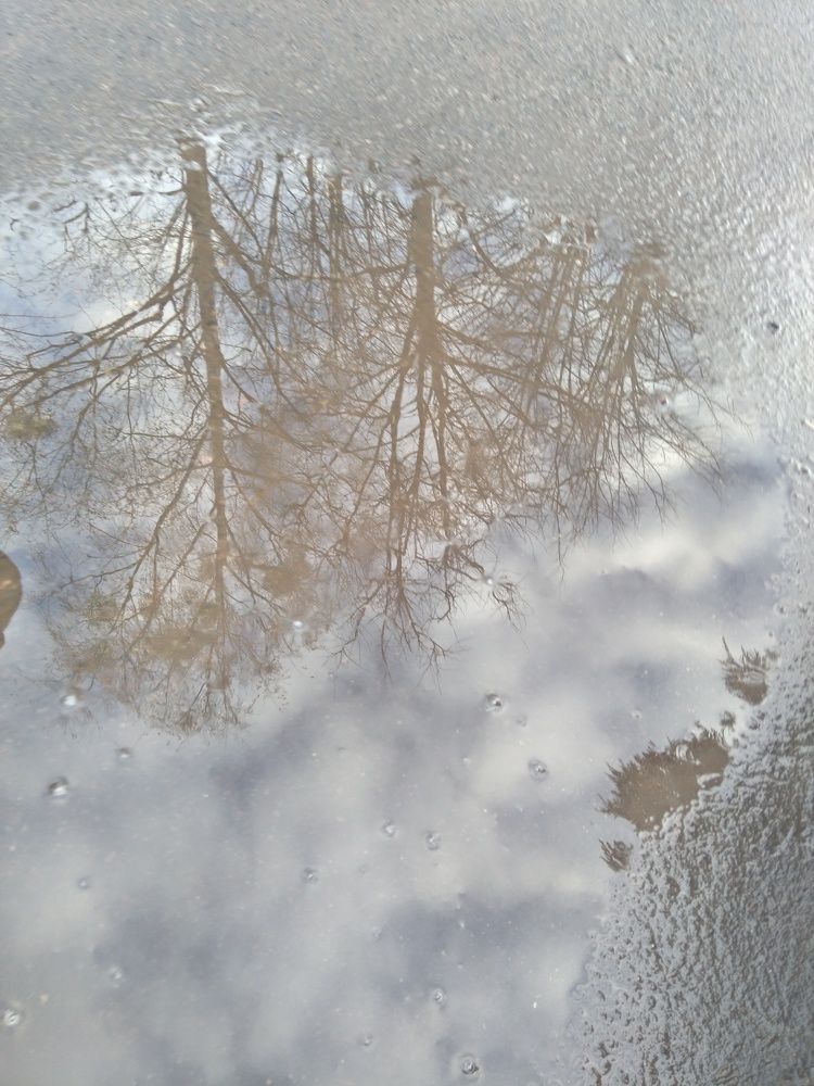 Photograph by Анна Банецкая