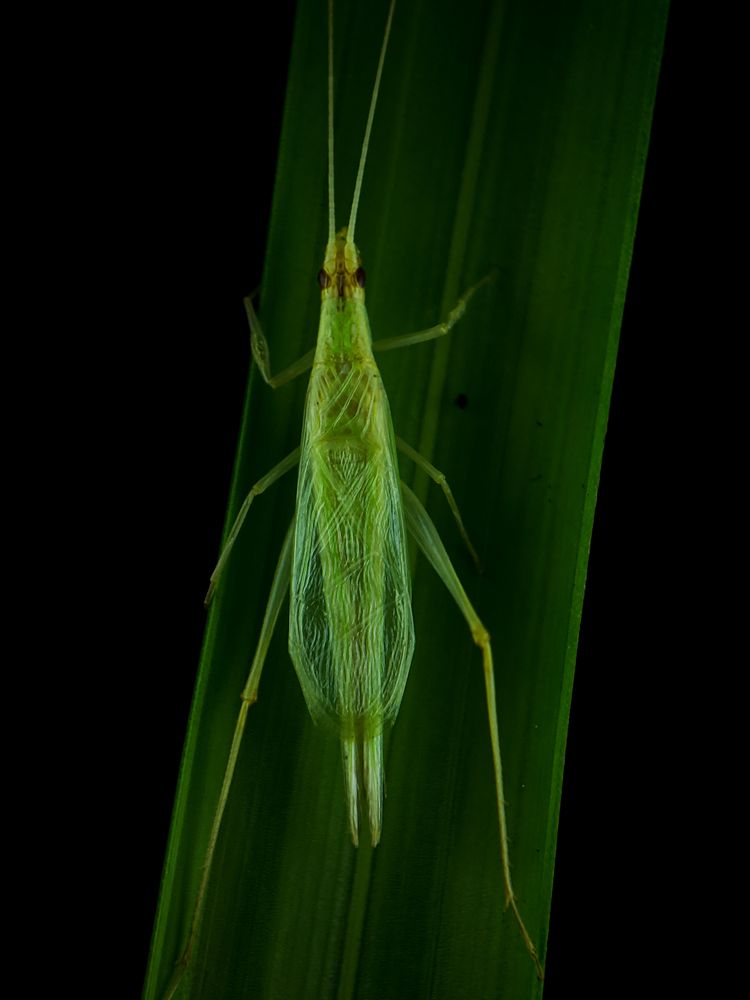 Photograph by sandhya kudli