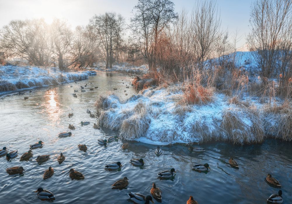 Photograph by Ольга Шацкая