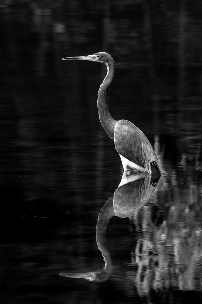 Photograph by Mario Manzano