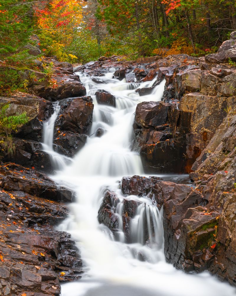 Photograph by Prybinski Miroslaw