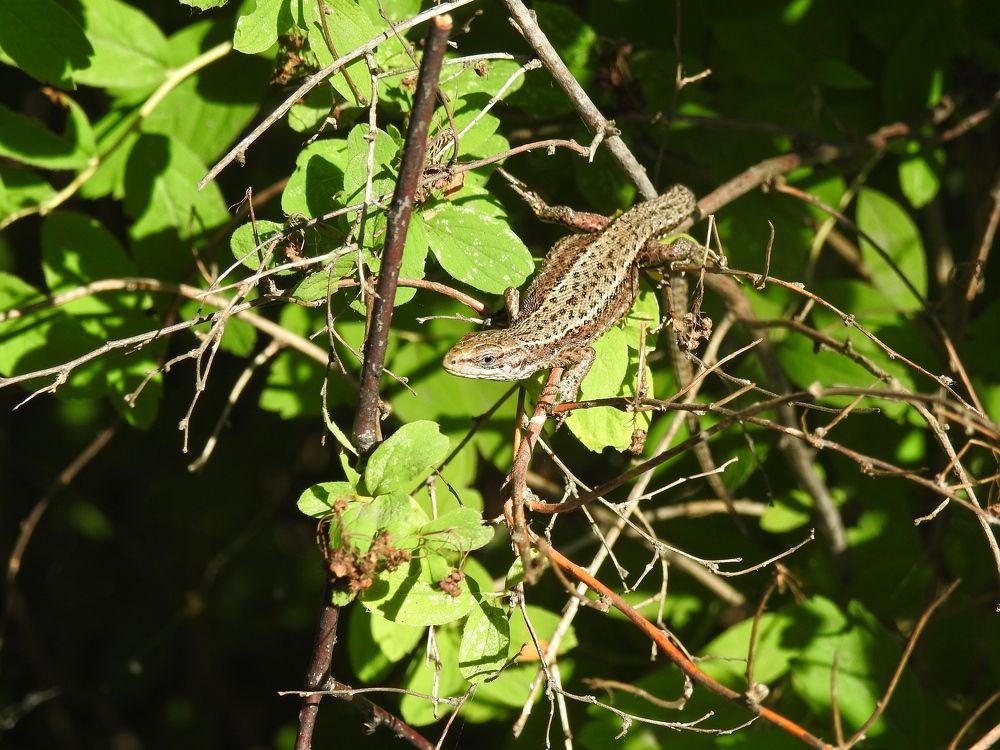 Photograph by Римма Большакова