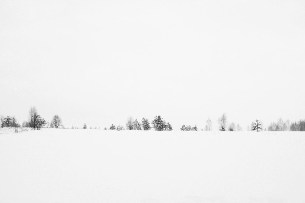 Photograph by Алексей Молдабаев