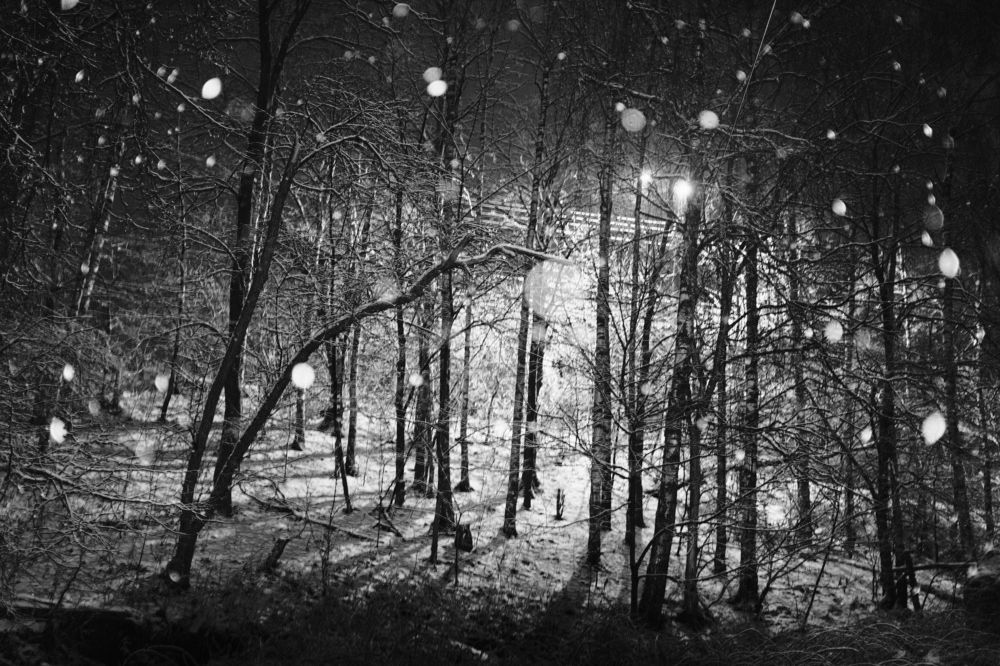 Photograph by Алексей Молдабаев