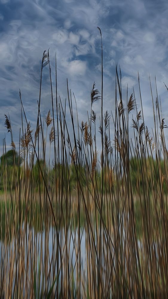 Photograph by Reza Golestaneh