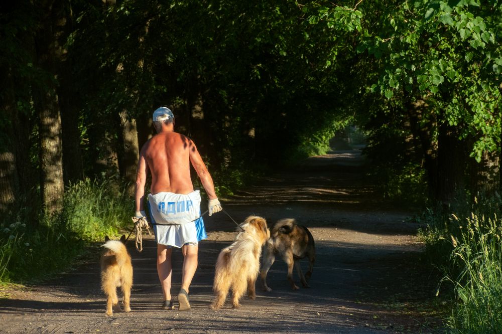 Photograph by Артур Салахутдинов