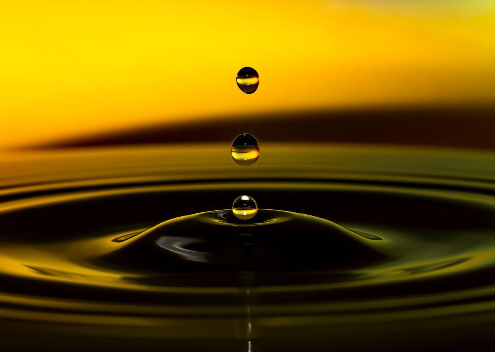 Photograph by 