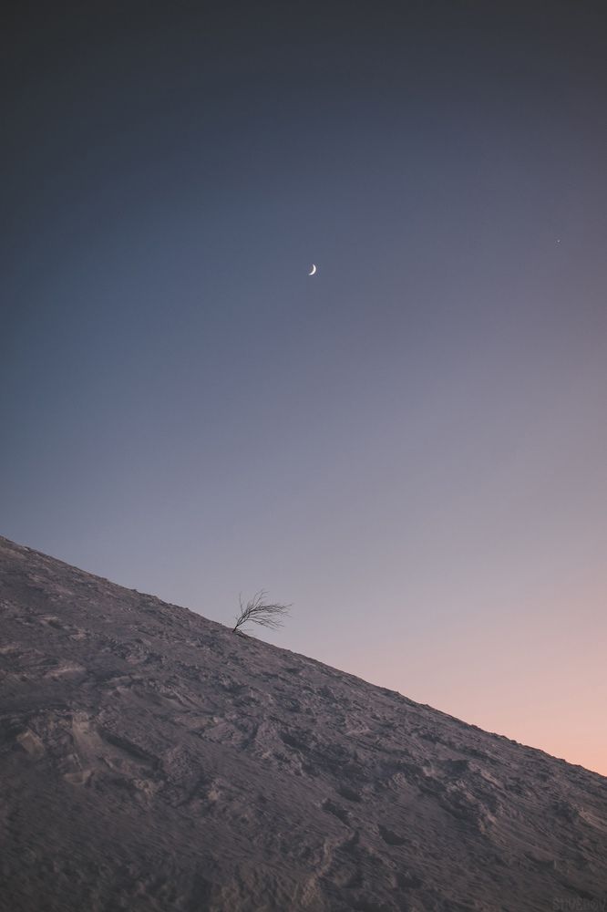 Photograph by Евгений Шведов