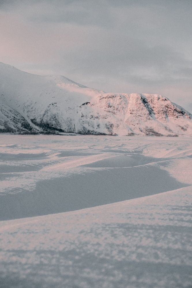 Photograph by Евгений Шведов