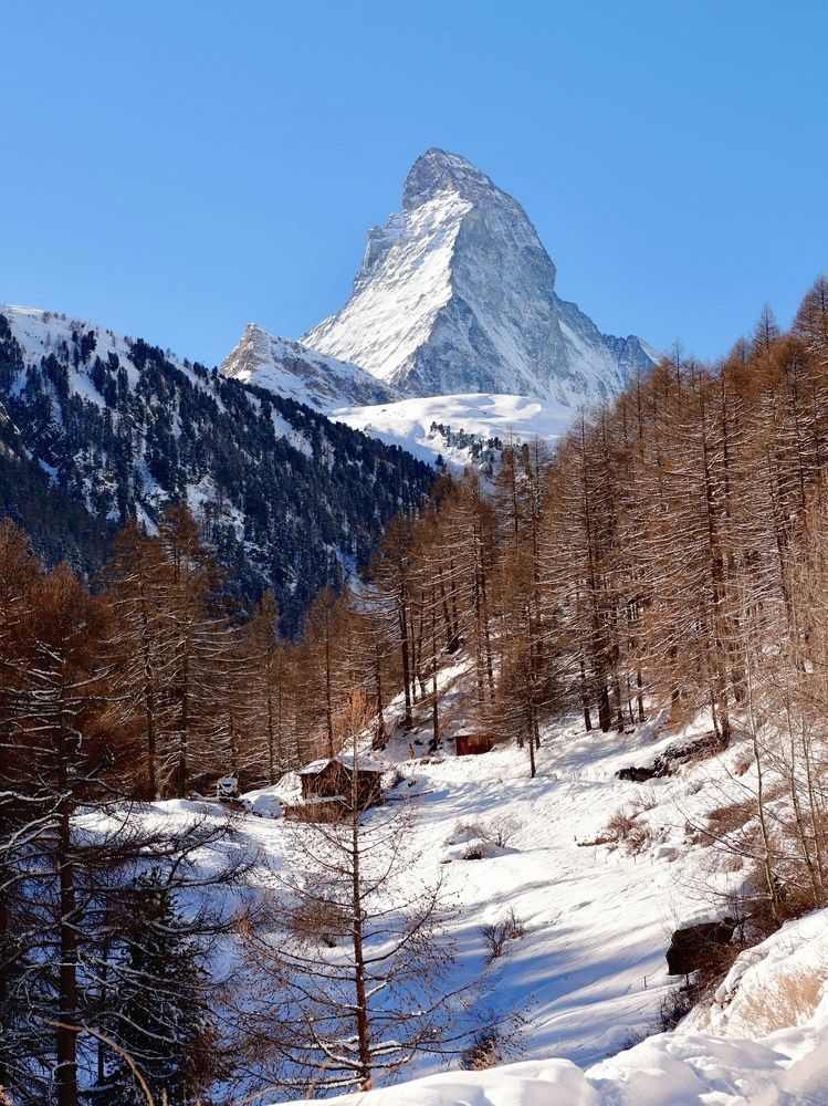 Photograph by Малика Маткарим