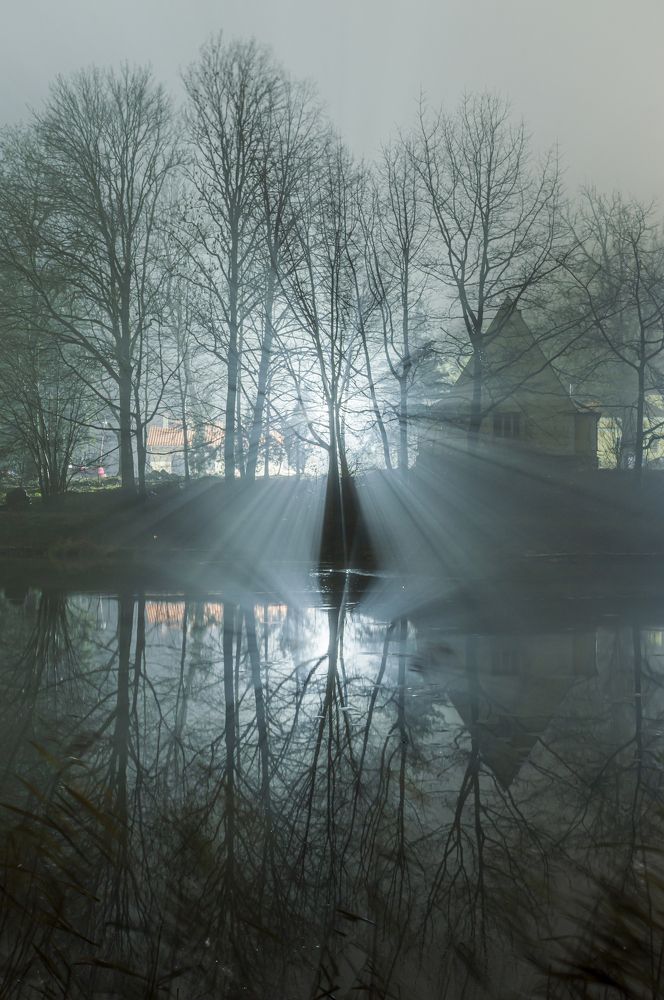 Photograph by Тема Амельянчик