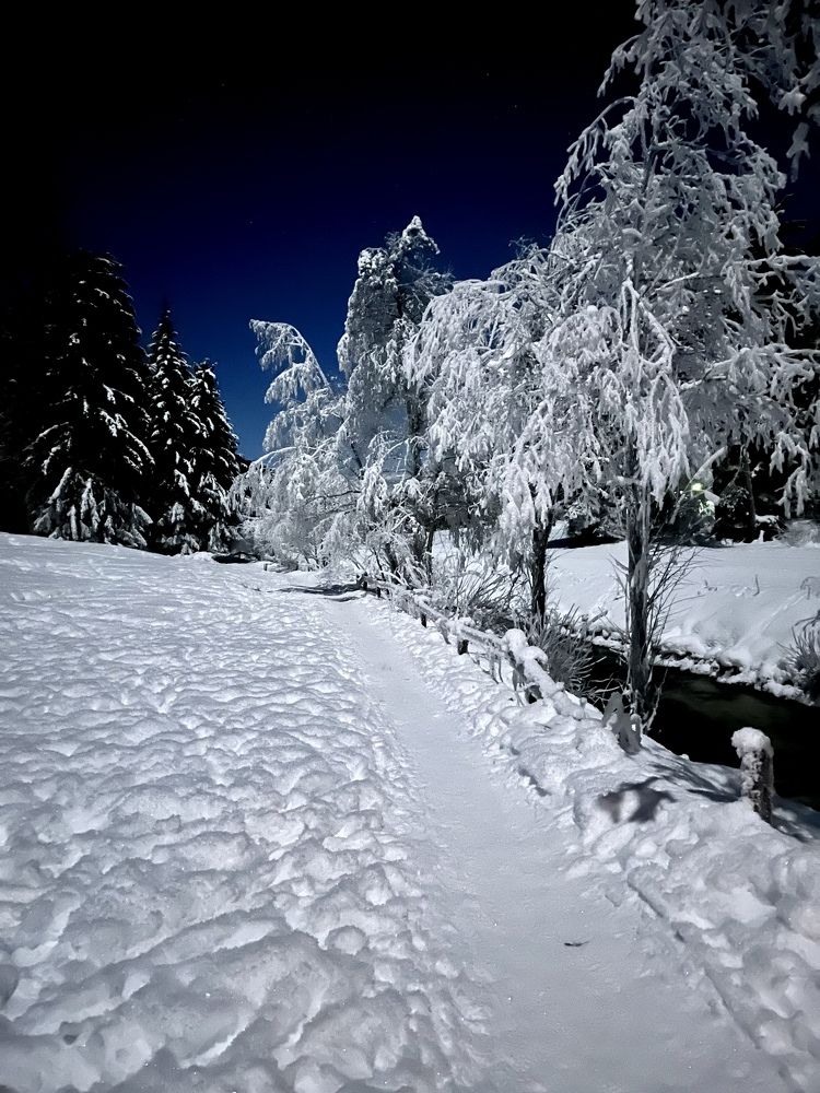 Photograph by Marina Mikhova