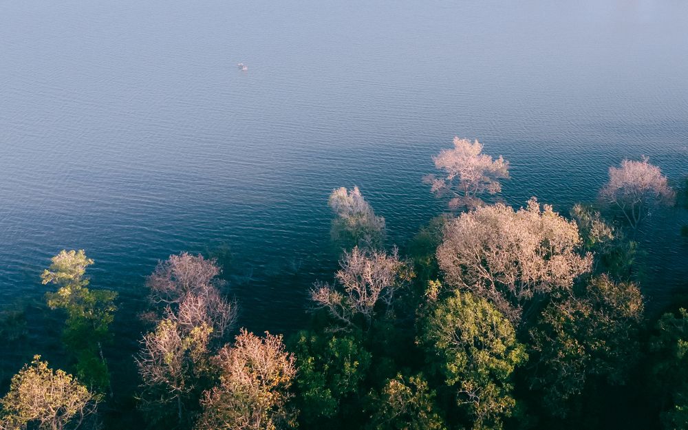 Photograph by Lương Viết Cường